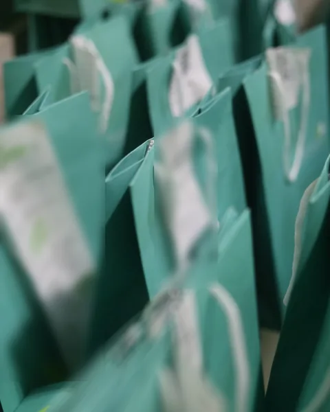 Sacolas verdes da Pharmativa com o pedido de cada cliente preso à alça